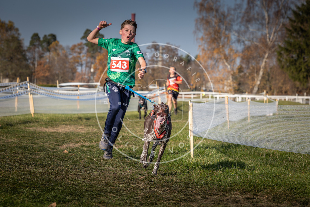 CaniXpix_0L8A8988 | Hundefotografie, Tierfotograf, Pfotenfotografie, Fotoshooting Hund, Hunde Portrait, Hundesport, Hundeportraits, Heideshooting, Hunde, Sportfotograf, Hundefotograf, Turnierhundsport, THS,  - Realisiert mit Pictrs.com