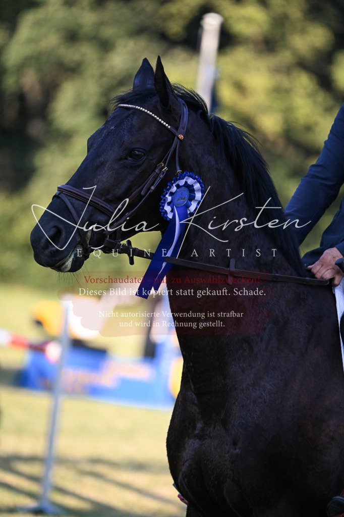 DSC_1877 | Pferde- und Turnierfotografie in Westsachsen. Pferdeportraits, Auftragszeichnungen und intuitive Kunst.