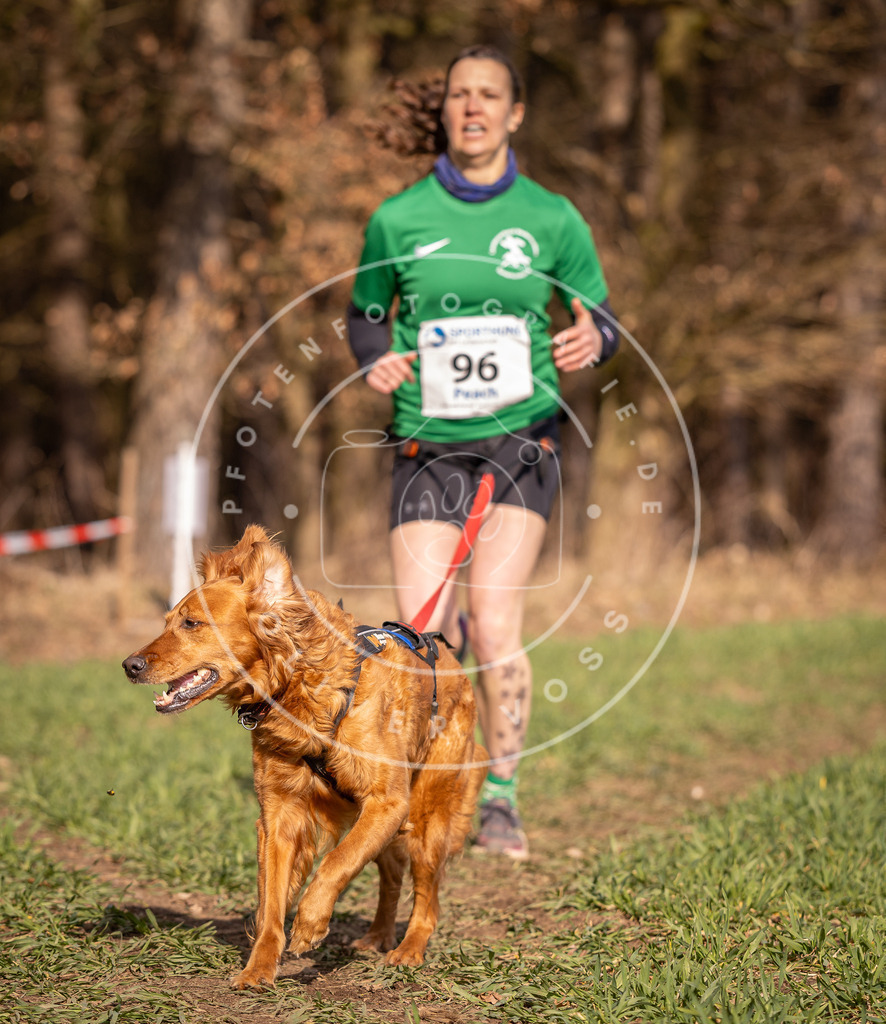DV3A6287 | Hundefotografie, Tierfotograf, Pfotenfotografie, Fotoshooting Hund, Hunde Portrait, Hundesport, Hundeportraits, Heideshooting, Hunde, Sportfotograf, Hundefotograf, Turnierhundsport, THS,  - Realisiert mit Pictrs.com