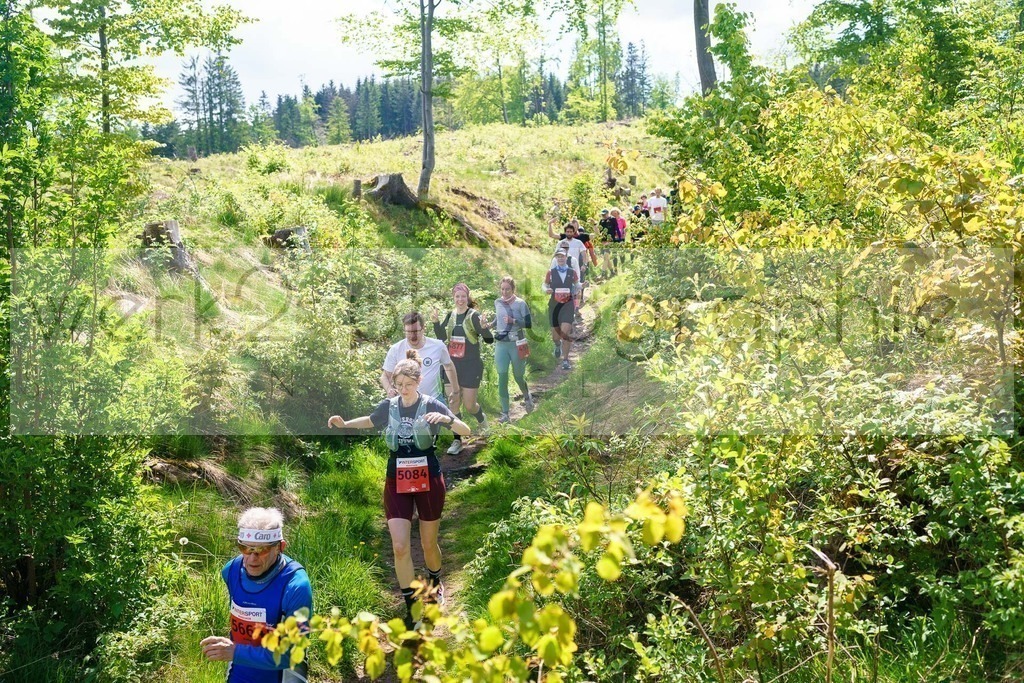 Rennsteiglauf Marathon 2025 | Marathon von Neuhaus/Rwg. nach Schmiedefeld/Rstg. am 17. Mai 2025