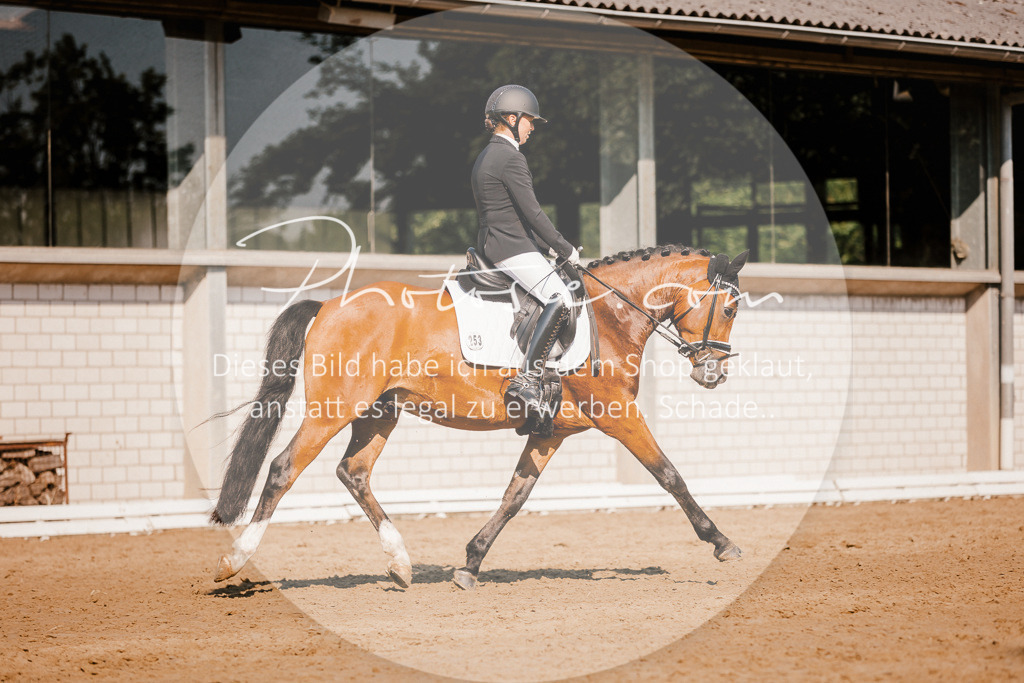 3I6A9033 | Stimmungsvolle Portraits und Reitsportfotografie im Ruhrgebiet und im Münsterland.

Pferdefotografie, Hundefotografie, Tierfotografie, Reportagen, Portraits von Tier und Mensch, Turnierfotografie in Bochum, Recklinghausen, Marl, Haltern am See, Dülmen.. - Realisiert mit Pictrs.com