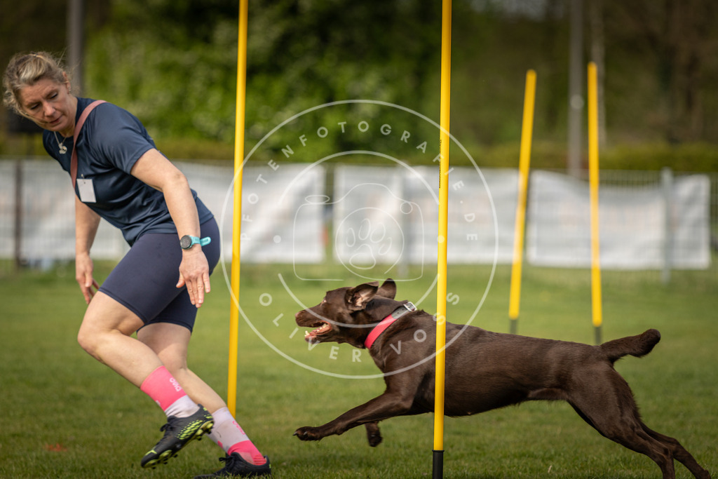 Pfotenfotografie_DV3A5351 | Hundefotografie, Tierfotograf, Pfotenfotografie, Fotoshooting Hund, Hunde Portrait, Hundesport, Hundeportraits, Heideshooting, Hunde, Sportfotograf, Hundefotograf, Turnierhundsport, THS,  - Realisiert mit Pictrs.com
