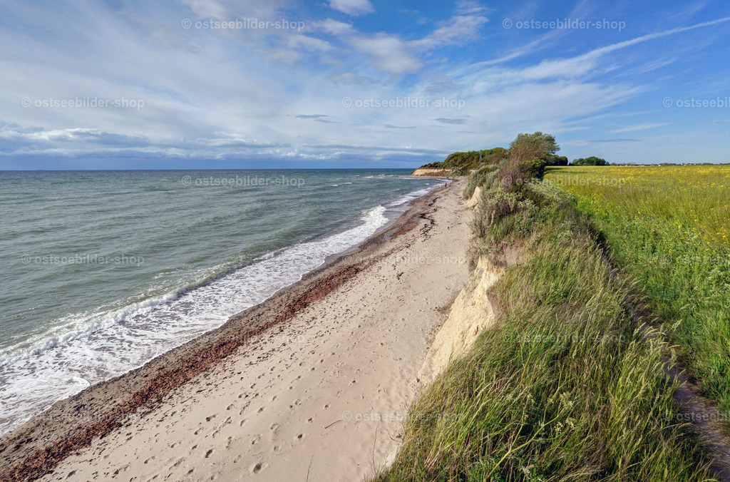 Steiluferblick | Der Blick von der Steilküste mit dicht wachsenden Gräsern und Sträuchern folgt dem einsamen Ostseestrand entlang bis zum Horizont.