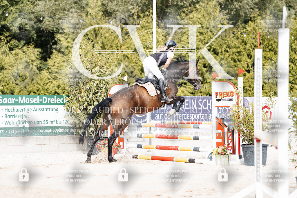 CK908831 | Turnierfotografie Pferdefotografie Trier Rheinland-Pfalz Pferdesport Reitsport Tierfotografie Sportfotografie Pferdevideo Pferdevideografie Equestrianvideography equestrianphotography  - Realisiert mit Pictrs.com