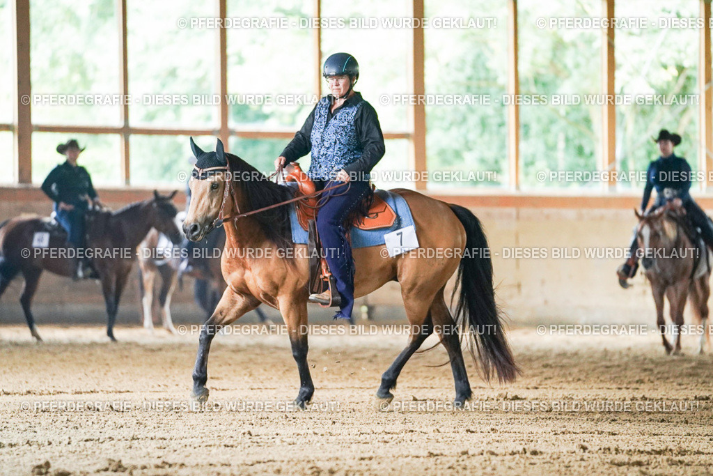 DSC05175 | Pferdegrafie