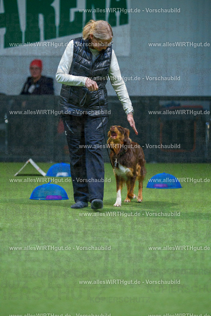 7R501317 | Professionelle Tierfotografie in Mönchengladbach von Daniel Wirth (allesWIRTHgut). Liebevolle & natürliche Bilder von Hunden & Katzen für unvergessliche Erinnerungen.