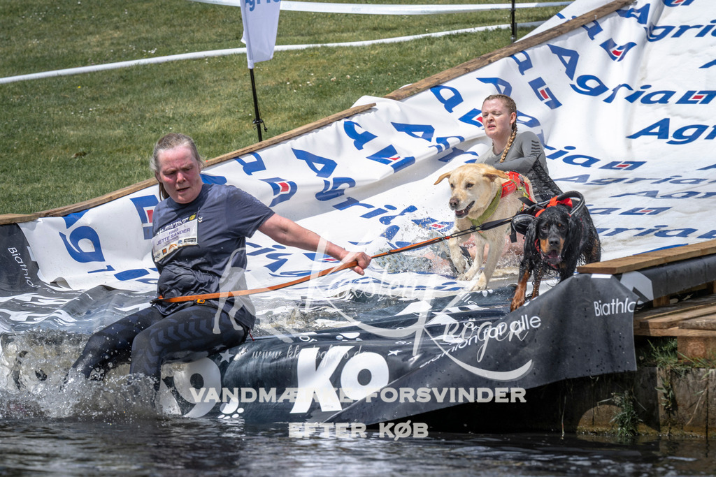 1155_ZZ94337 | kk-dogfotos