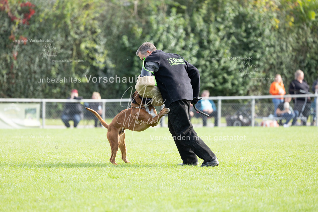 _16A5418 | Einzigartige Fotos von Hunden & Menschen –Actionfotos, Portraits, Vereinsaufnahmen & Paarshootings – authentisch, lebendig & mit Herz.