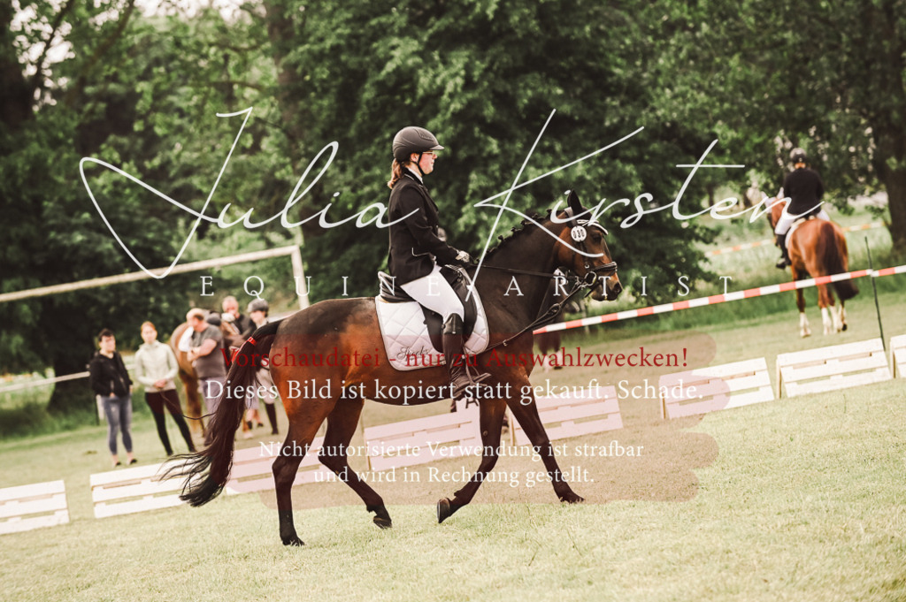 DSC_4900 | Pferde- und Turnierfotografie in Westsachsen. Pferdeportraits, Auftragszeichnungen und intuitive Kunst.