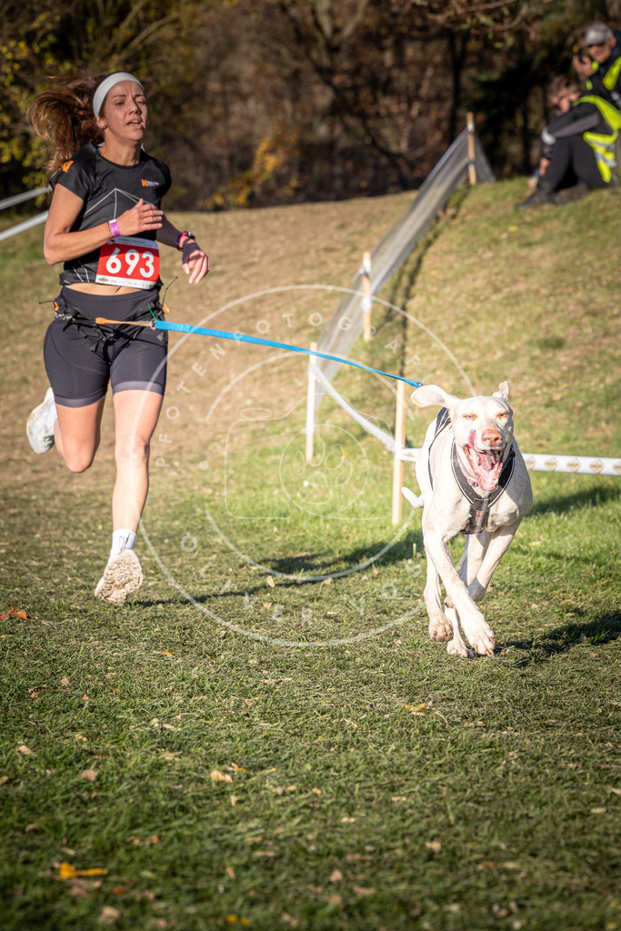 CaniXpix_0L8A9368 | Hundefotografie, Tierfotograf, Pfotenfotografie, Fotoshooting Hund, Hunde Portrait, Hundesport, Hundeportraits, Heideshooting, Hunde, Sportfotograf, Hundefotograf, Turnierhundsport, THS,  - Realisiert mit Pictrs.com