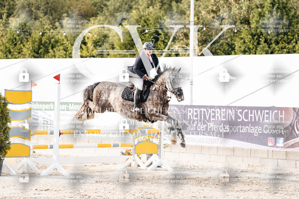 CK907013 | Turnierfotografie Pferdefotografie Trier Rheinland-Pfalz Pferdesport Reitsport Tierfotografie Sportfotografie Pferdevideo Pferdevideografie Equestrianvideography equestrianphotography  - Realisiert mit Pictrs.com