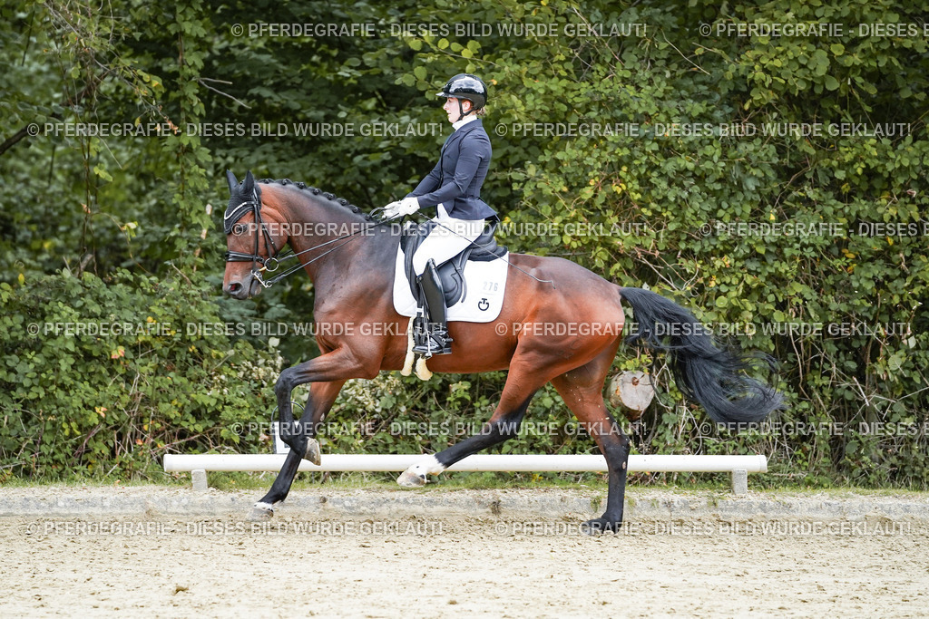 DSC07288 | Pferdegrafie