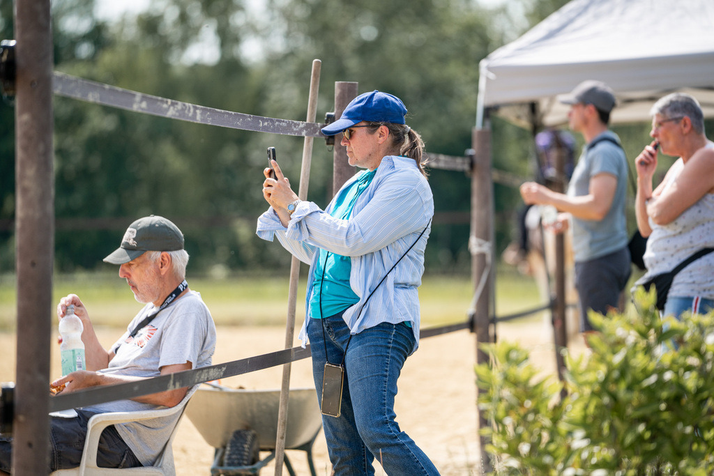 DSC09950 | Pferdegrafie