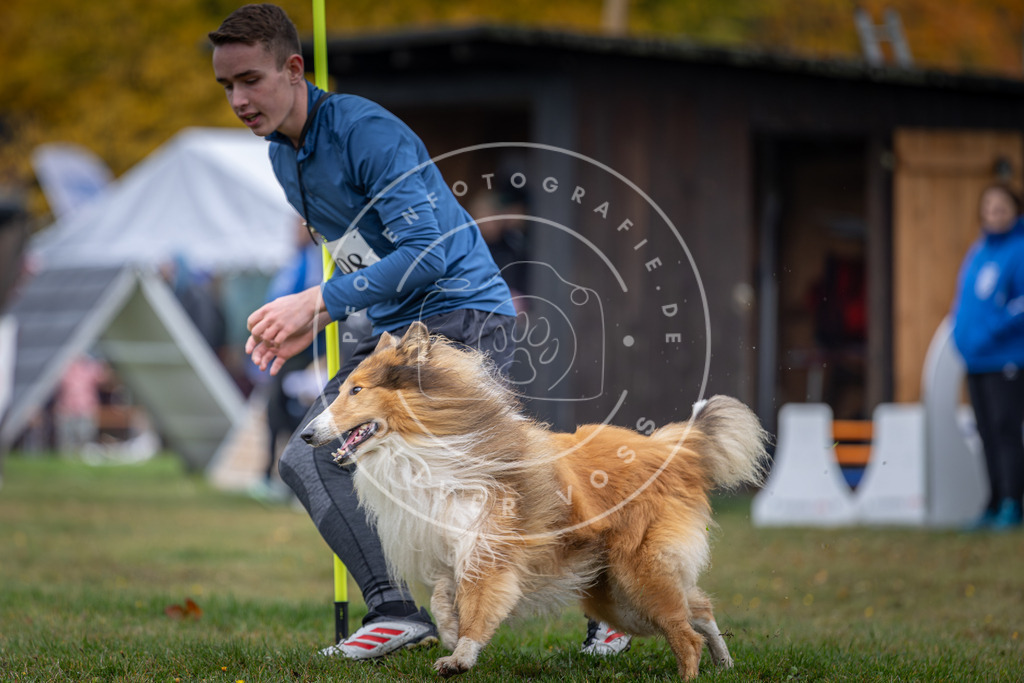 Pfotenfotografie_DV3A0793 | Hundefotografie, Tierfotograf, Pfotenfotografie, Fotoshooting Hund, Hunde Portrait, Hundesport, Hundeportraits, Heideshooting, Hunde, Sportfotograf, Hundefotograf, Turnierhundsport, THS,  - Realisiert mit Pictrs.com