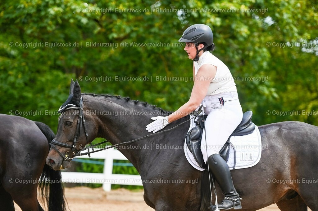 20230715_05_Dressurprüfung Kl.A++_0185 | equistock