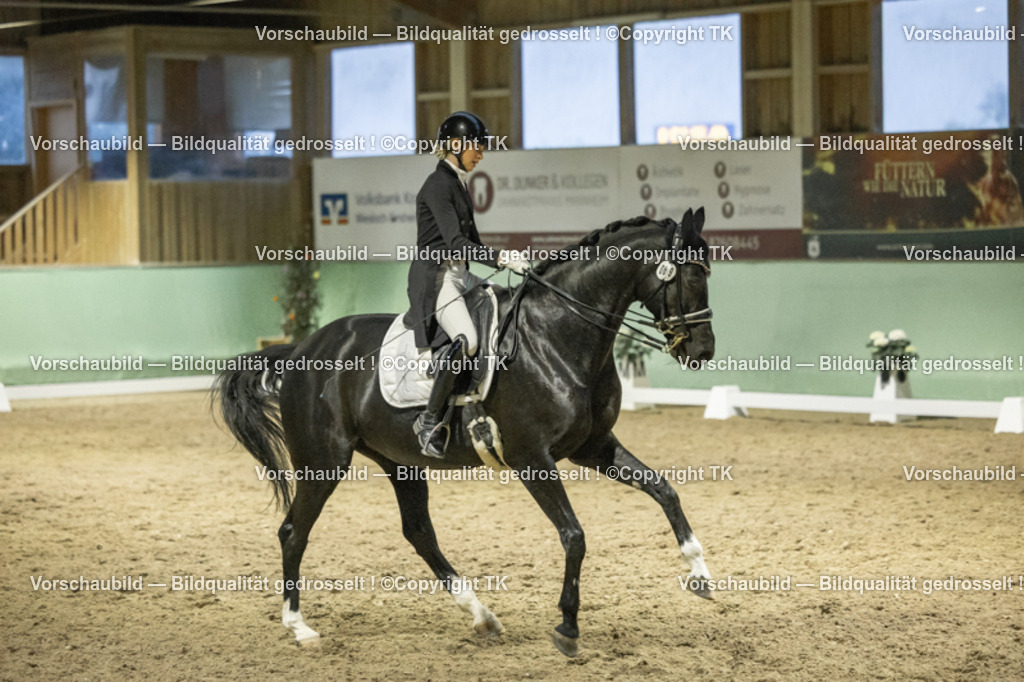 _D5A7370 | Emotionale Pferde- & People-Fotografie rund um Heidelberg, Leimen & Umgebung. Natürliche Fotos von Pferd, Mensch & Familie. Jetzt Termin sichern!