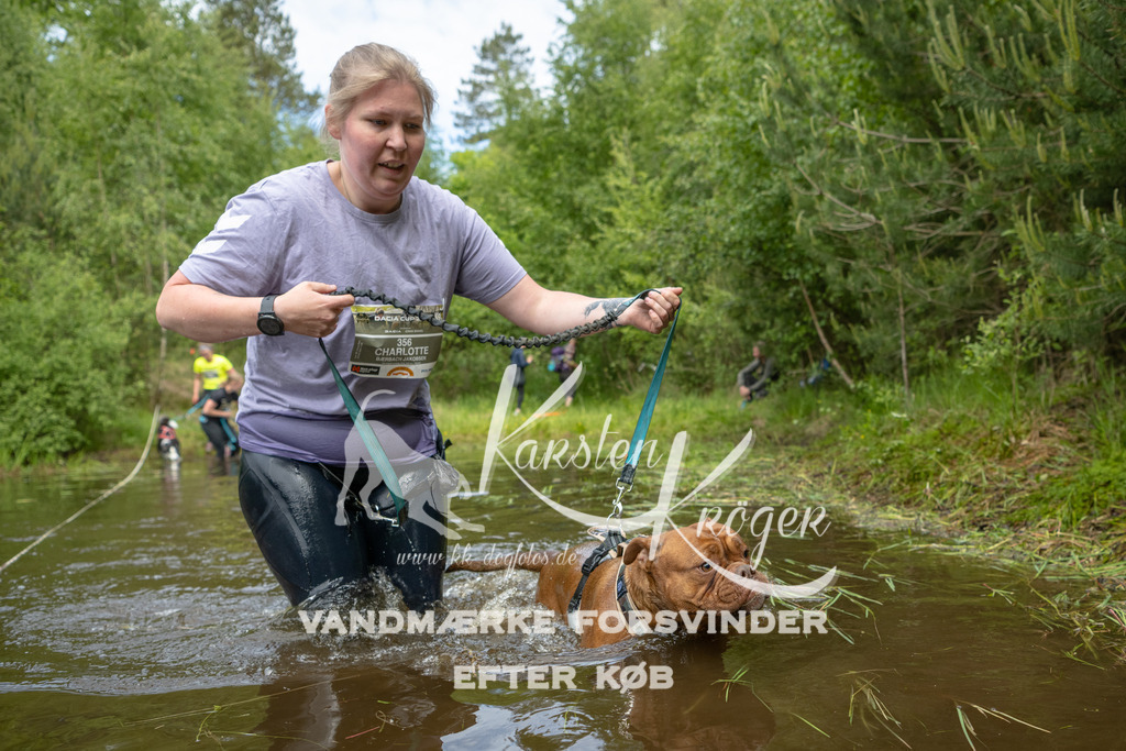 1114DKK994492 | kk-dogfotos