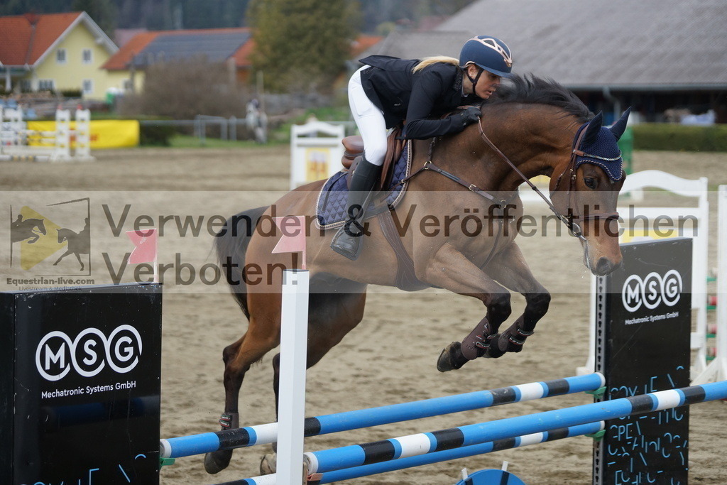 DSC01366 | equestrian-live-com