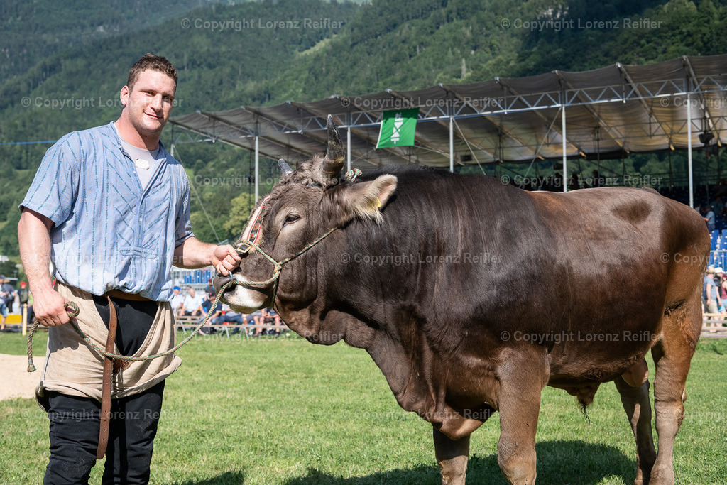 Schwingen -  NOS Schwingfest 2023 | Mollis, 25.6.23, Schwingen - NOS Schwingfest.