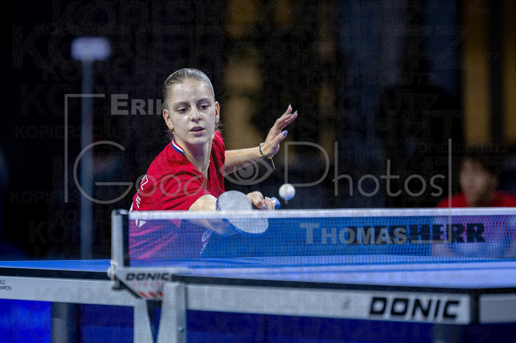 European_Championships_2024-10-19_167 | good-photos - Realisiert mit Pictrs.com