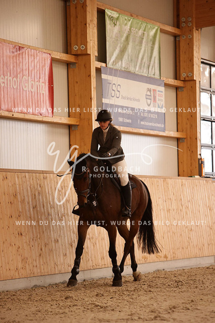 1J2A2917Constanze Voigt_ Caius 16_ Kn045_ Hohen Wieschendorf_ Glantz | Foto- und Videografie für alles rund ums Pferd. Hochwertige Bilder und Videos vom Spring- und Dressurreiten, Voltigieren & mehr. Jetzt aktuelle Veranstaltungen und Preise im Shop ansehen. - Realisiert mit Pictrs.com