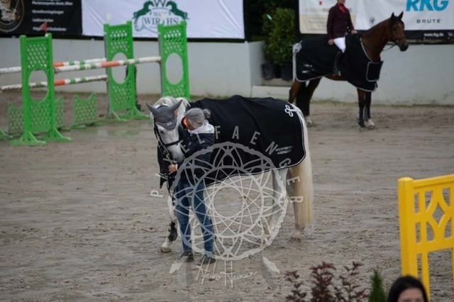 2B4A3341 | pixelfaenger - Realisiert mit Pictrs.com