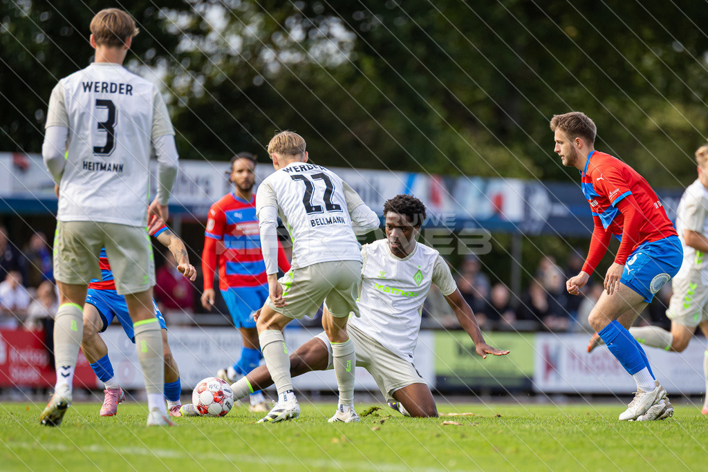 20250921_Picselweb-Fotografie_Meta_1R3_0341 | SV Drochtersen Assel - Werder Bremen II 3:2 - Realisiert mit Pictrs.com