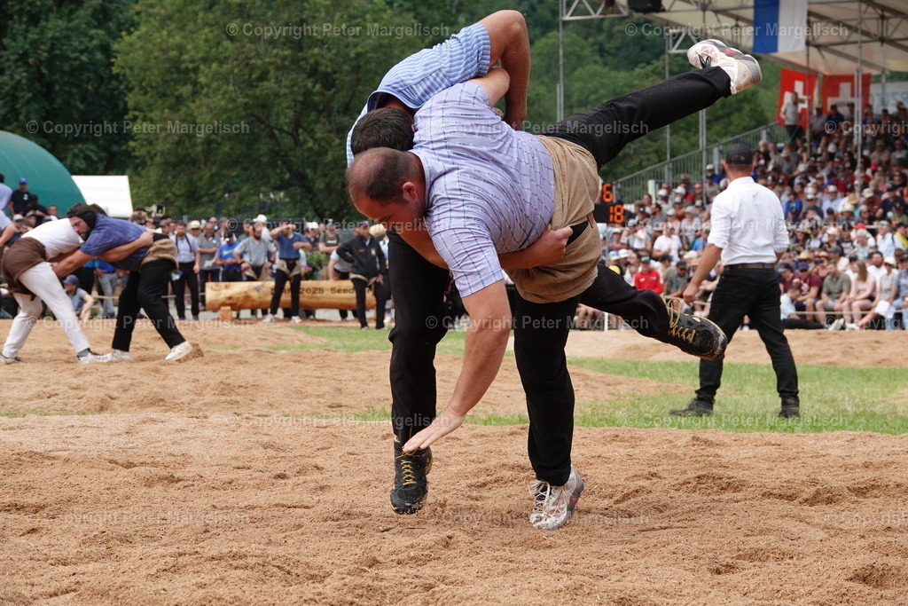 DSC01243 | Schwingen - Realisiert mit Pictrs.com