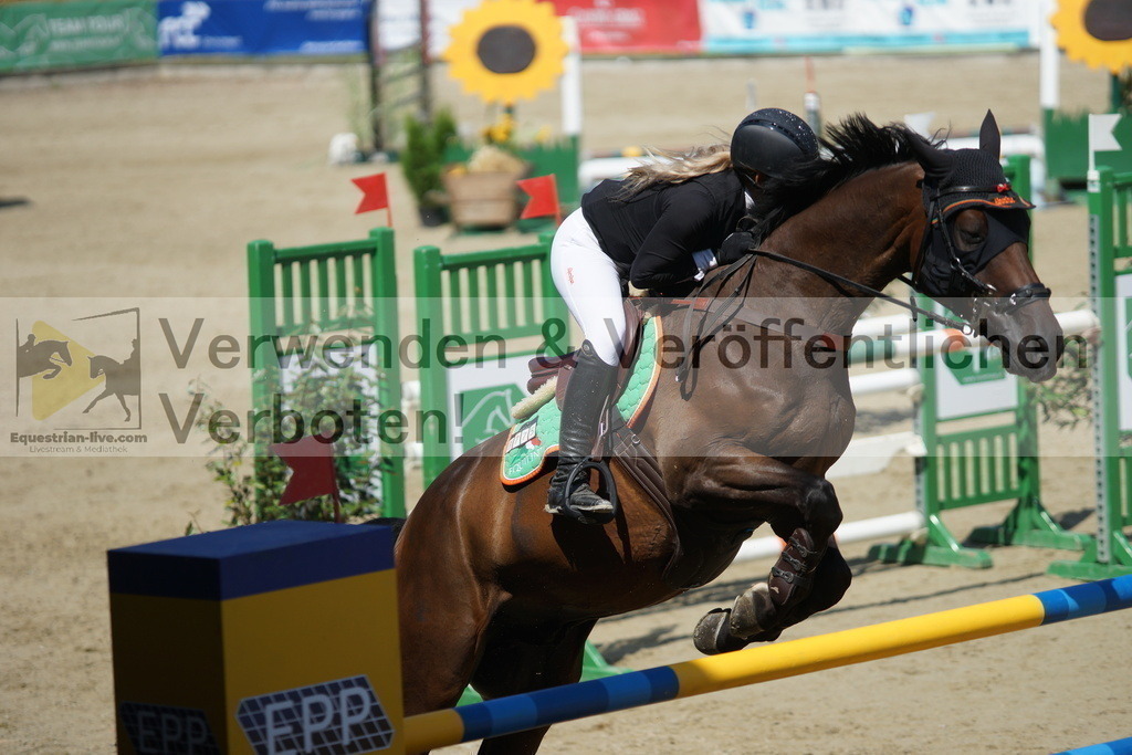 DSC05811 | equestrian-live-com