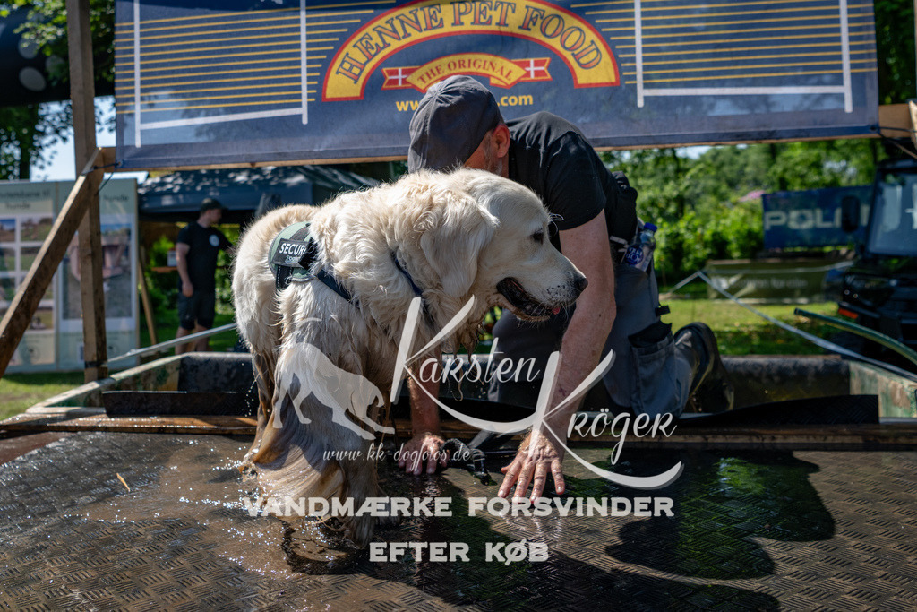1251_ZZ90225 | kk-dogfotos