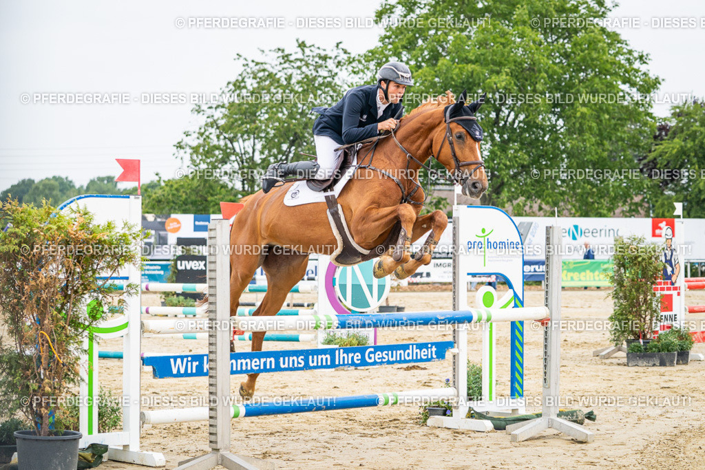 DSC09541 | Pferdegrafie