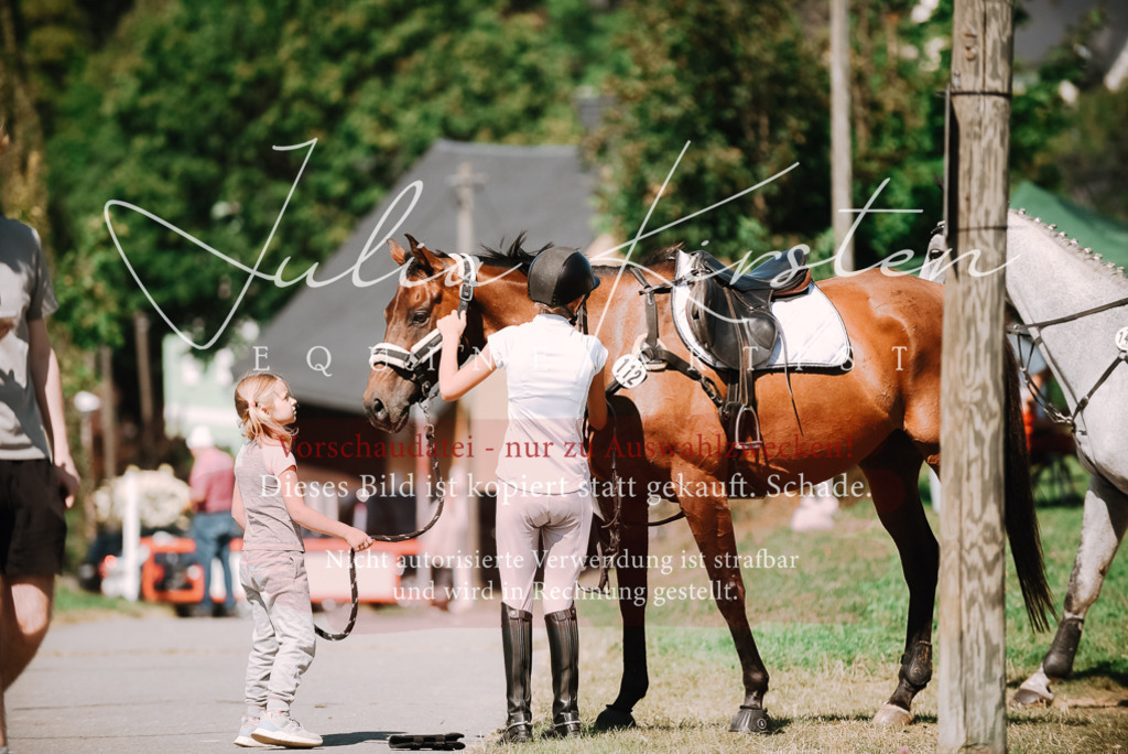 DSC_2916 | Pferde- und Turnierfotografie in Westsachsen. Pferdeportraits, Auftragszeichnungen und intuitive Kunst.