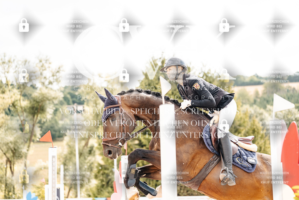 CK909293 | Turnierfotografie Pferdefotografie Trier Rheinland-Pfalz Pferdesport Reitsport Tierfotografie Sportfotografie Pferdevideo Pferdevideografie Equestrianvideography equestrianphotography  - Realisiert mit Pictrs.com