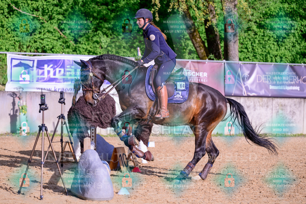 02052026-Giesenbach-03-Speedtrail-0114 | Fokus Hufschlag Fotografie - Realisiert mit Pictrs.com