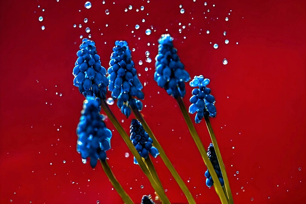 PSX_20240619_162113 | RemasterDirector_18da6b0cf - Realisiert mit Pictrs.com