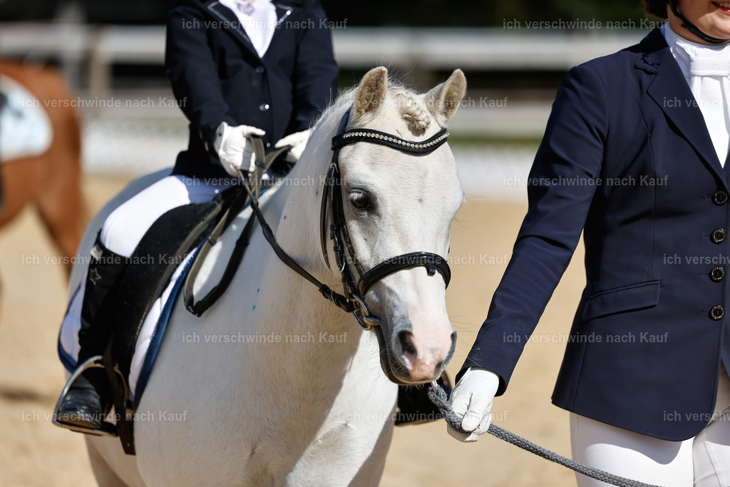 01--Ponyführzügel -StoibPH-6803 | working equitationturnier fotograf videograf stoibphotography marixx film working equitation deutschland reitsport turnierfotografie eventfotografie equestrian events