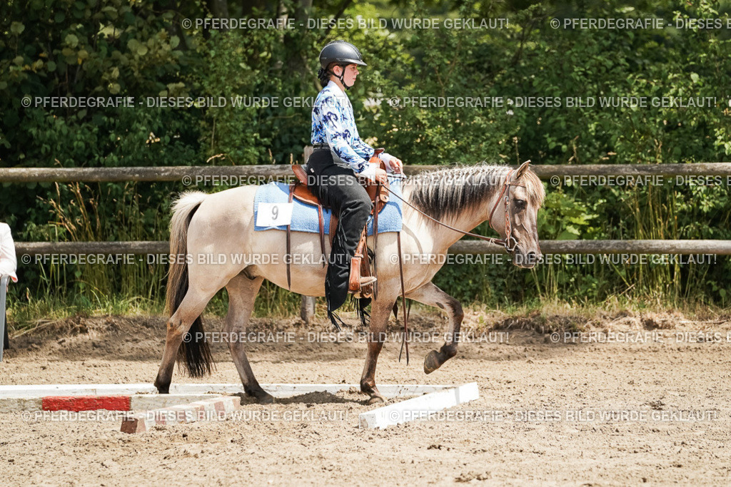 DSC07896 | Pferdegrafie