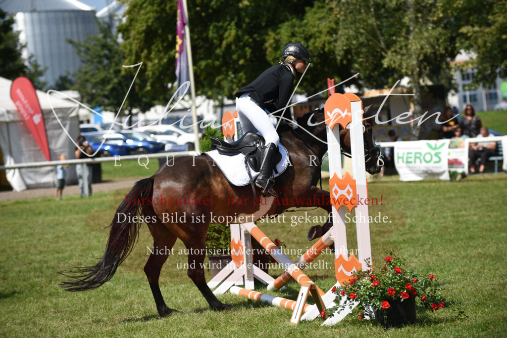 DSC_0061 | Pferde- und Turnierfotografie in Westsachsen. Pferdeportraits, Auftragszeichnungen und intuitive Kunst.