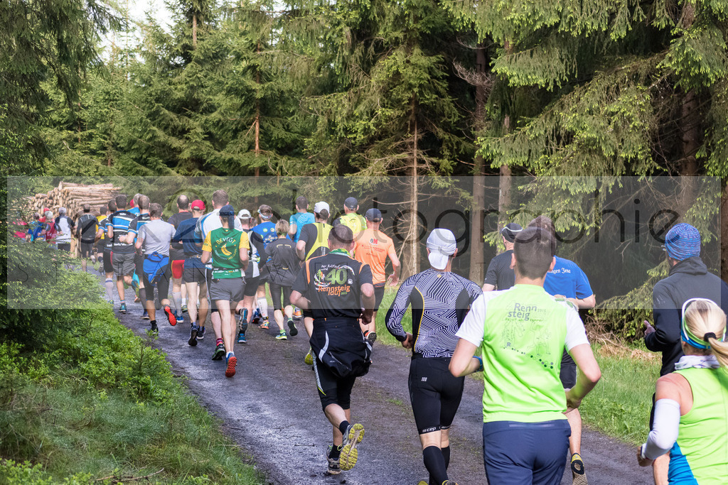Rennsteiglauf 2017 | Neuhaus/Rwg. - Schmiedefeld am 19. Mai 2017