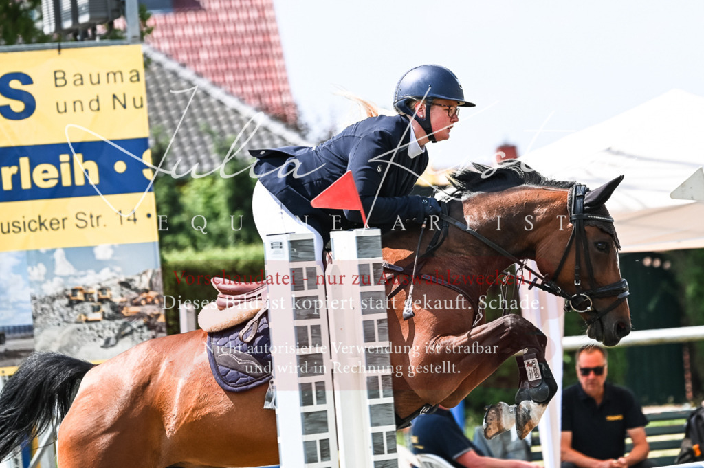 DSC_9298 | Pferde- und Turnierfotografie in Westsachsen. Pferdeportraits, Auftragszeichnungen und intuitive Kunst.