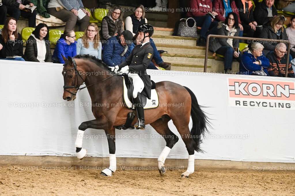 20260307_Hengstvorstellung-Marbach_0352 | equistock