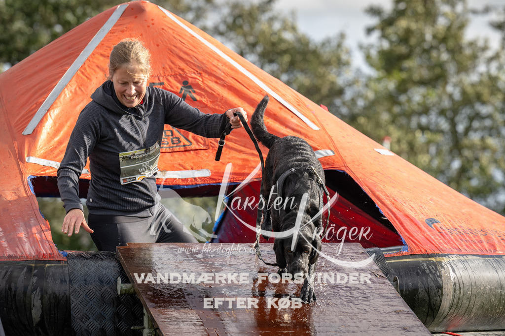 1422-94058 | kk-dogfotos