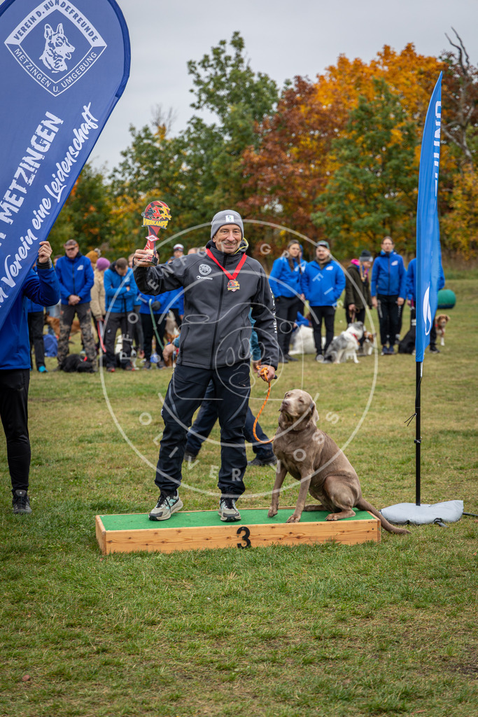 Pfotenfotografie_0L8A0577 | Hundefotografie, Tierfotograf, Pfotenfotografie, Fotoshooting Hund, Hunde Portrait, Hundesport, Hundeportraits, Heideshooting, Hunde, Sportfotograf, Hundefotograf, Turnierhundsport, THS,  - Realisiert mit Pictrs.com