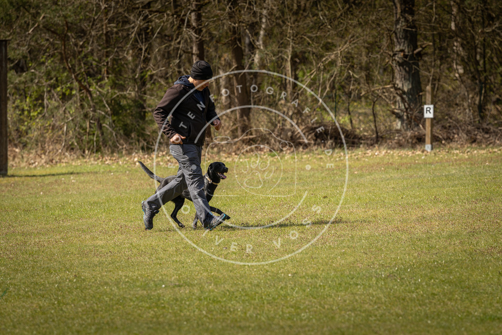 Pfotenfotografie_DV3A1233 | Hundefotografie, Tierfotograf, Pfotenfotografie, Fotoshooting Hund, Hunde Portrait, Hundesport, Hundeportraits, Heideshooting, Hunde, Sportfotograf, Hundefotograf, Turnierhundsport, THS,  - Realisiert mit Pictrs.com