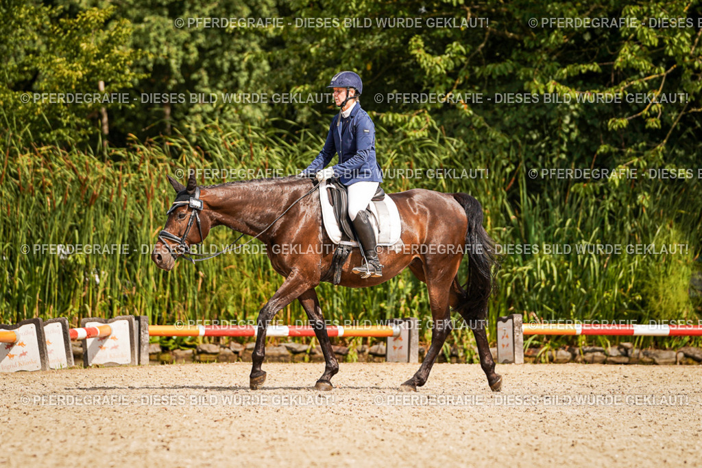 DSC01476 | Pferdegrafie