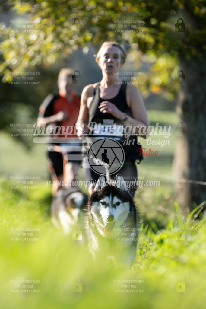 MompixPhotography_20TSB_E3_Run-132 | PayLife