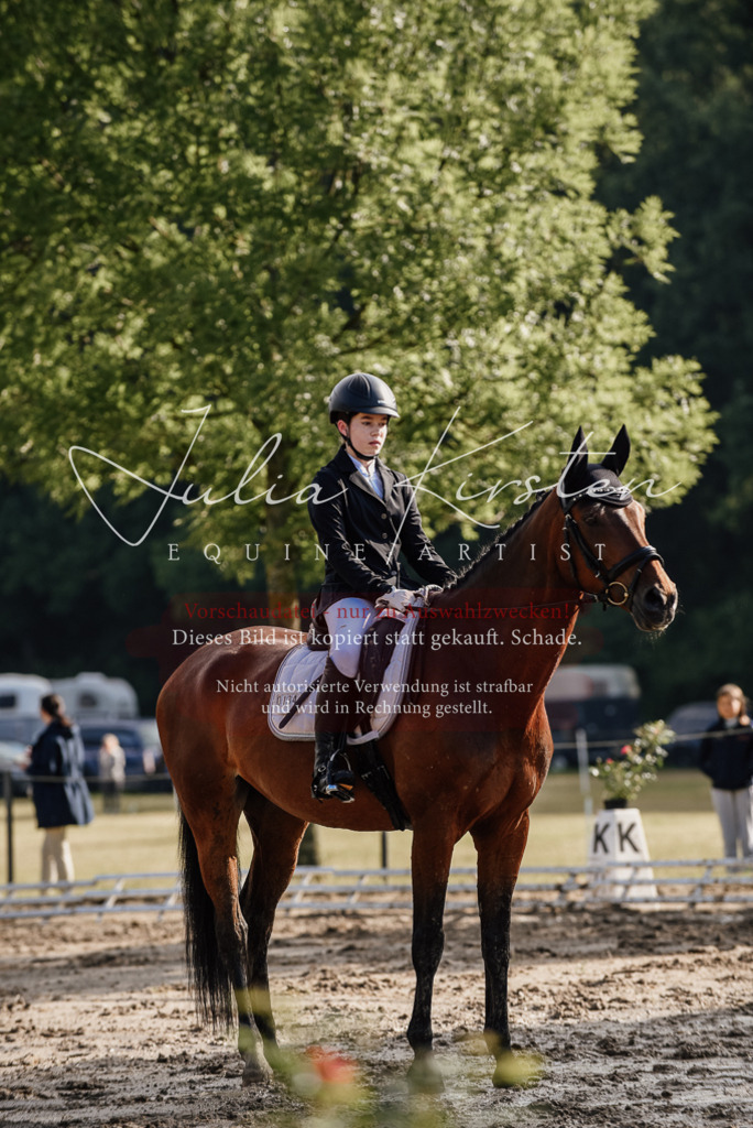 DSC_8066 | Pferde- und Turnierfotografie in Westsachsen. Pferdeportraits, Auftragszeichnungen und intuitive Kunst.