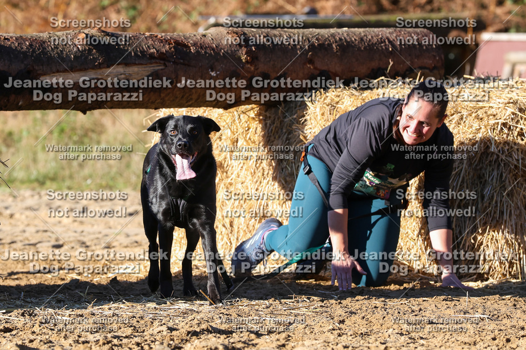 Dog Paparazzi - Strongdog 10-25-1736 | Dog Paparazzi Jeanette Grottendiek Fotografie & Videografie - Realisiert mit Pictrs.com