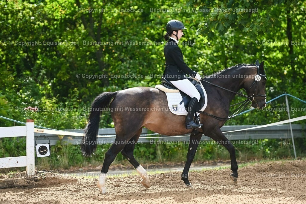 20230716_10-1_Reiter-WB Schritt - Trab - Galopp_0124 | equistock