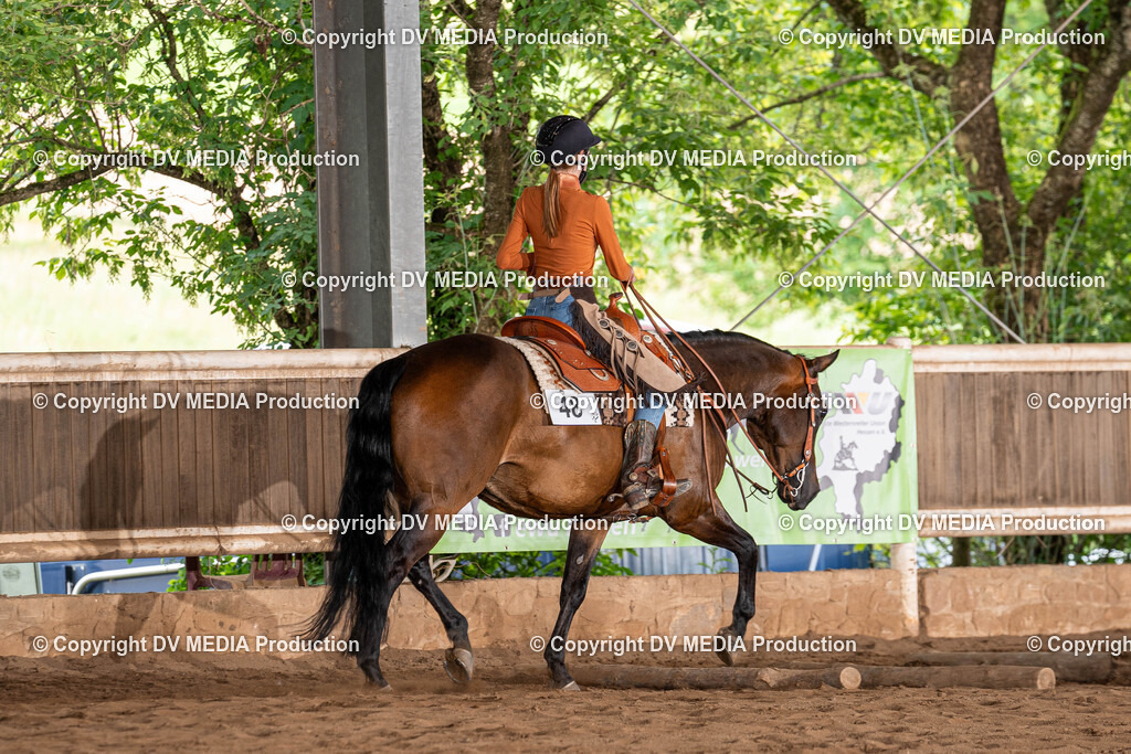 Erbach Tag 1-891 | dv-media-shop - Realisiert mit Pictrs.com